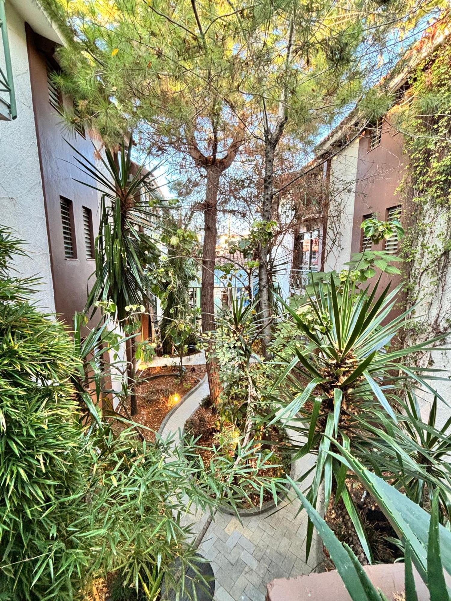 阿克斯坎阿特酒店 San Cristóbal de Las Casas 外观 照片